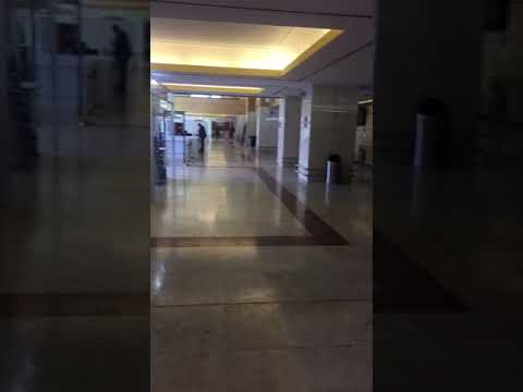 Sodium Dimethyl Dithiocarbamate 40%