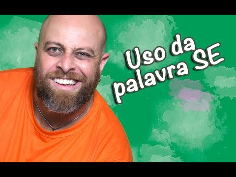 Use of the word SE [Prof Noslen]