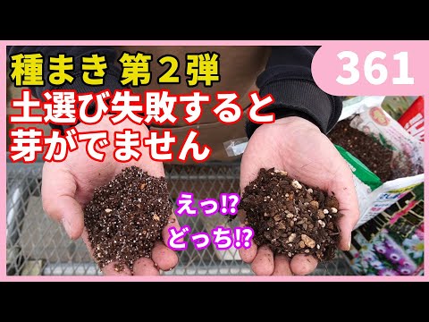  2月は庭で何をしましょうか？最初に植える種と忘れてはならない準備!  庭園