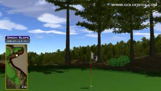 preview picture of video 'Golden Tee Great Shot on Timber Bay!'