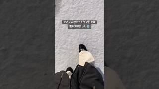 雪が凍って危ないアメリカ　#アメリカ生活 #ポートランド #オレゴン #shorts #アメリカ