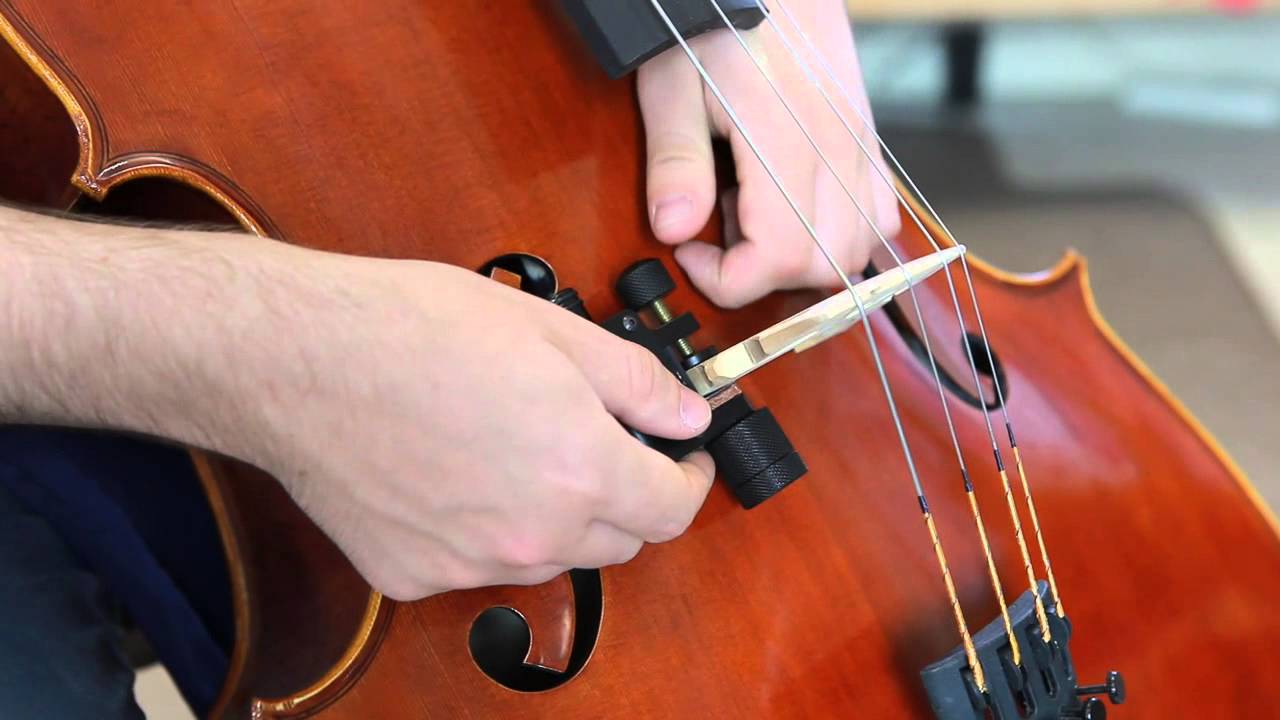 REALIST CELLO SOUNDCLIP / REALIST