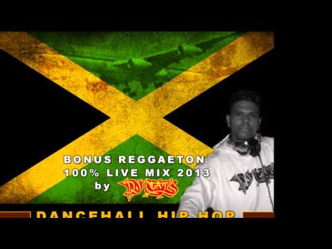 DJ NAT'S BEST OF JAMAICAN DANCEHALL HIP HOP LIVE MIXX 2013 + BONUS REGGAETON (HD)