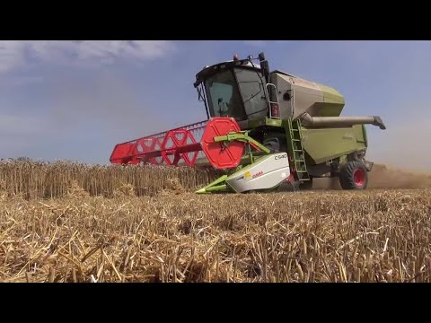 AVERO 240. The right decision. / 2013