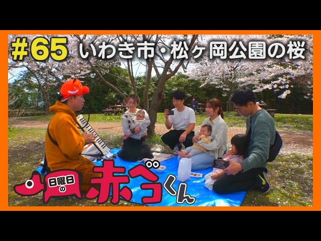 いわき市・松ヶ岡公園の桜「日曜日の赤ベコくん」＃65