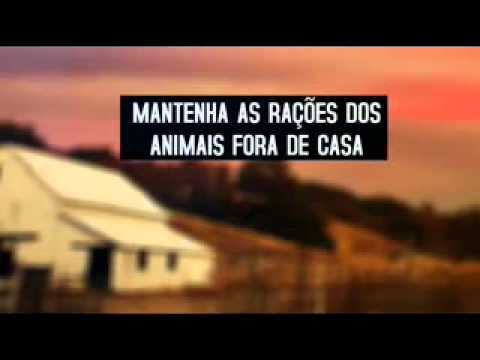 Campanha de Prevenção HANTAVIROSE Sec de Saúde da Prefeitura de Campo Novo do Parecis