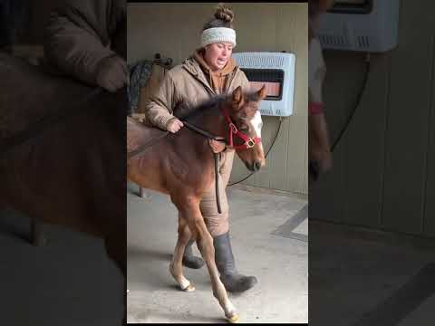 RS baby updates! Follow @katievanslykelife for more content #katievanslyke 