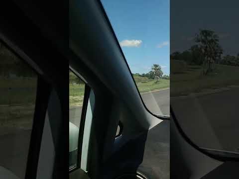 camino a la Isla del Cerrito