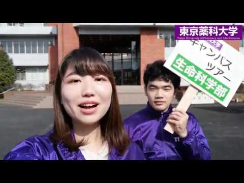 生命医科学科 Webキャンパスツアー　生命科学部編｜東京薬科大学