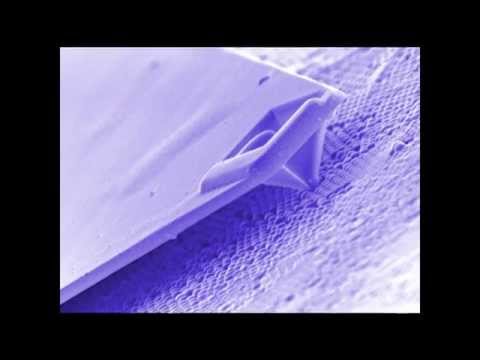 Video of how an Atomic Force Microscope (AFM) works