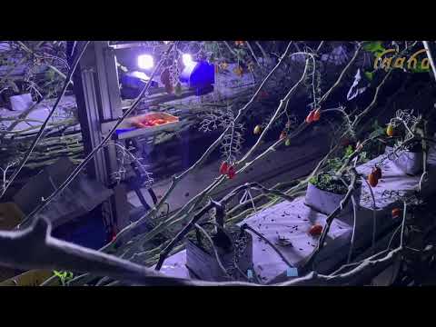 Vidéo YouTube - tcfEtP130fo