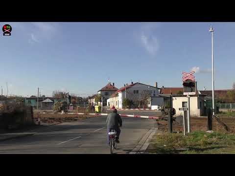 Železniční přejezd Kopidlno [P4620] - 15.11.2018 / Czech railroad crossing