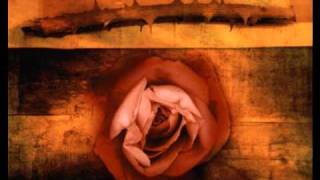 "God is in the Roses" by Rosanne Cash
