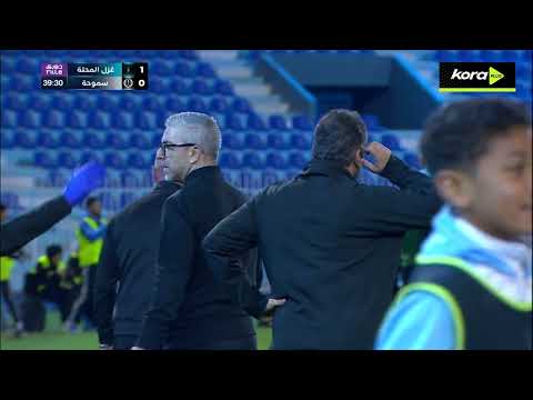 bg-highlight