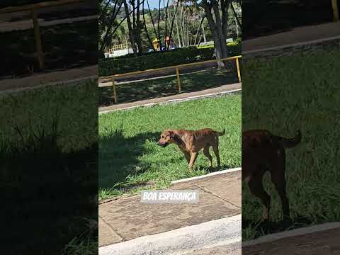 #paisagemnatural #minasgerais #turismo #boaesperançamg