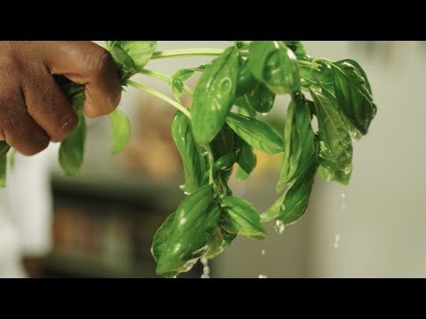 Fresh Ideas celebrates food