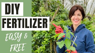 NO NEED TO BUY IT! How to Make Your Own FERTILIZER at Home