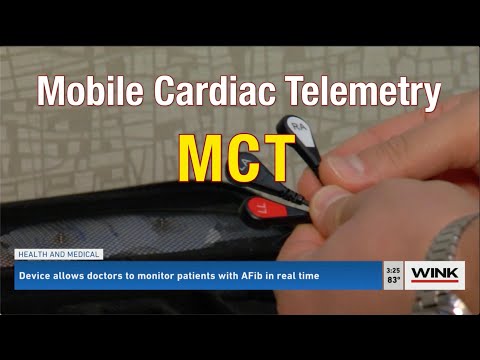 Bioflux at Work -WINK Fort Myers 02 04 2022