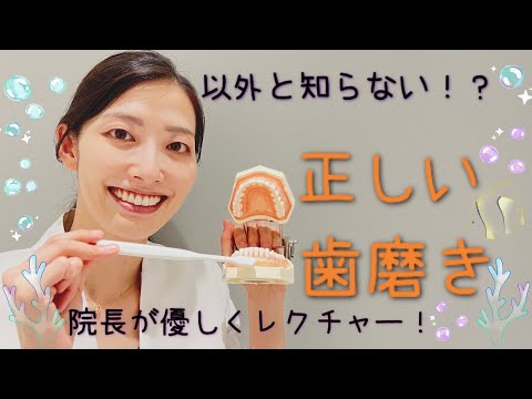 歯を磨く頻度はどれくらいですか?ルールは思っているよりも重要です