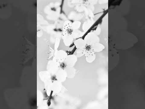 Lenzman - Open page [DRUM AND BASS LIQUID - VOCAL]