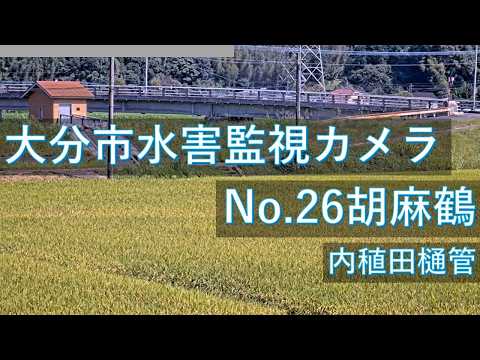 大分市水害監視 胡麻鶴のライブカメラ映像