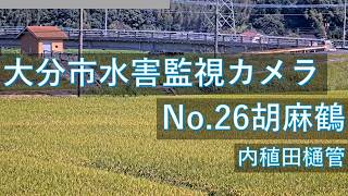 Ōita · Nanase Kawauchi Higashi Pipe Sesame Crane Live Camera (Mawarisuno, Oita Prefecture) live stream