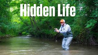 The Hidden Aquarium Beneath Appalachian Waters