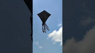 Download lagu Make a kite fly in this raft house, it's really high #fyp #kite mp3