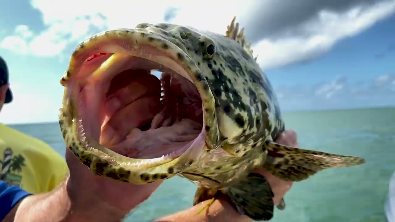 Satisfaction Charters - Commercial Fishing, Islamorada