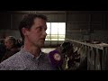 Noord-Veluwse boeren in gesprek over stikstof