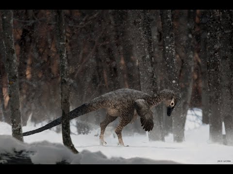 All raptor (Deinonychosauria) shots from "Prehistoric Planet" (both seasons)