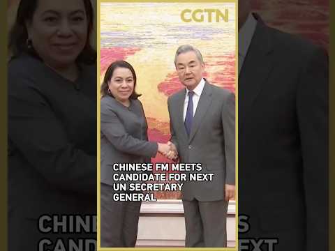 Chinese FM Wang Yi meets candidate for next UN secretary-general Carolyn Rodrigues-Birkett
