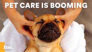 Pet Wellness Is Becoming a Major Growth Market