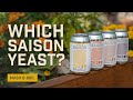Which Saison Yeast Should I Use? EP34