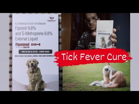 Life Saving Medicine For Pets l Spot-On l Ojasvi Sharma