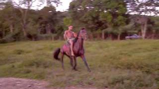 preview picture of video 'Josimar empinando o cavalo'