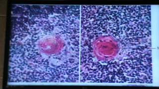 Dr.Gehan Data show2 21-4