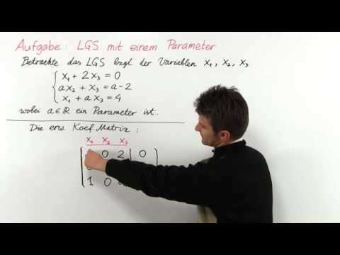 Kap1 Aufgabe 5: LGS mit einem Parameter | Mathematik | Lineare Algebra