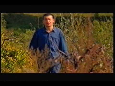 Ganduri Alexandru Macedon