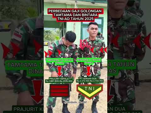 Perbedaan gaji Golongan Bintara dan Tamtama🇮🇩🙏 #tni #tnidihatirakyat #tniad #army