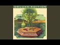 Desolation Valley / Waves (1976 U.S. Mix)