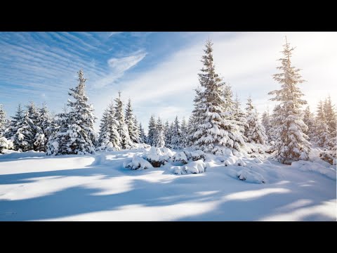 Jordan S. Mompo - Sweet Horizon