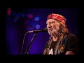 Willie Nelson - The Scientist