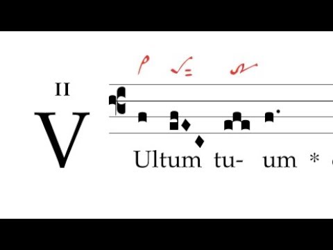 Introitus: Vultum tuum