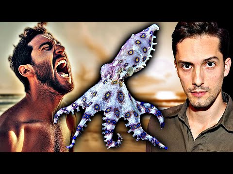 This tiny poisonous octopus will kill you while you are fully conscious