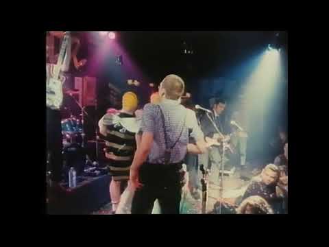 BLECHREIZ -  Bumble Bee live