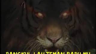 Download lagu Story'wa macan putih//story wa 30 detik mp3 Download lagu Story'wa macan putih//story wa 30 detik mp3
