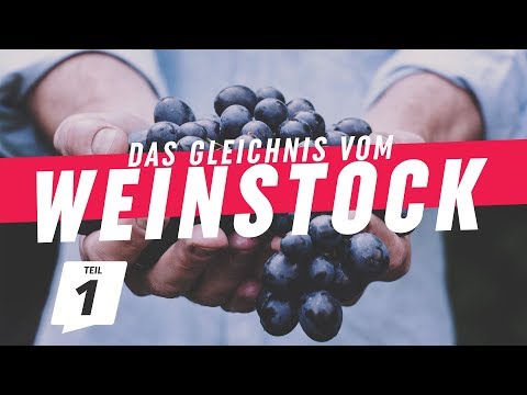 Zeit zum Beginnen | Das Gleichnis vom Weinstock (1) | CZF Gottesdienst