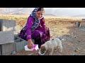Maryam And Ahura A Puppy That Was Added To Their Family
