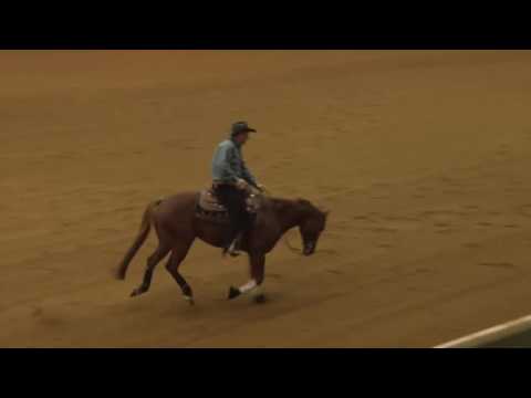 161030 Peter Defreitas on Voodoo Smokin Annie Open